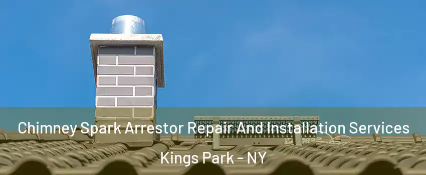  Chimney Spark Arrestor Repair And Installation Services Kings Park - NY