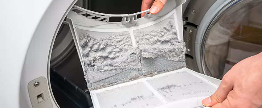Best Dryer Lint Removal Company in Kings Park, New York