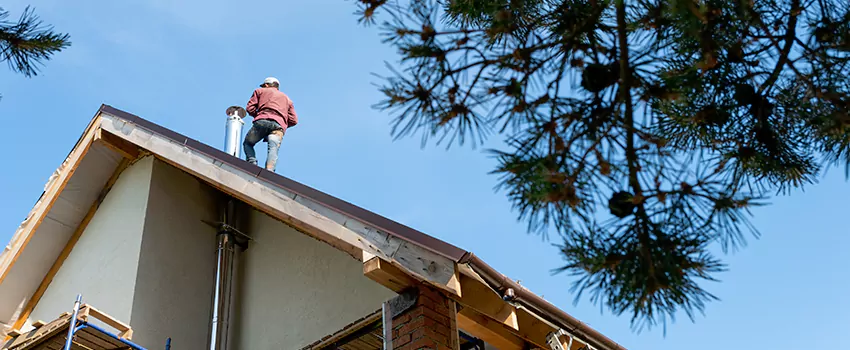 Birds Removal Contractors from Chimney in Kings Park, NY